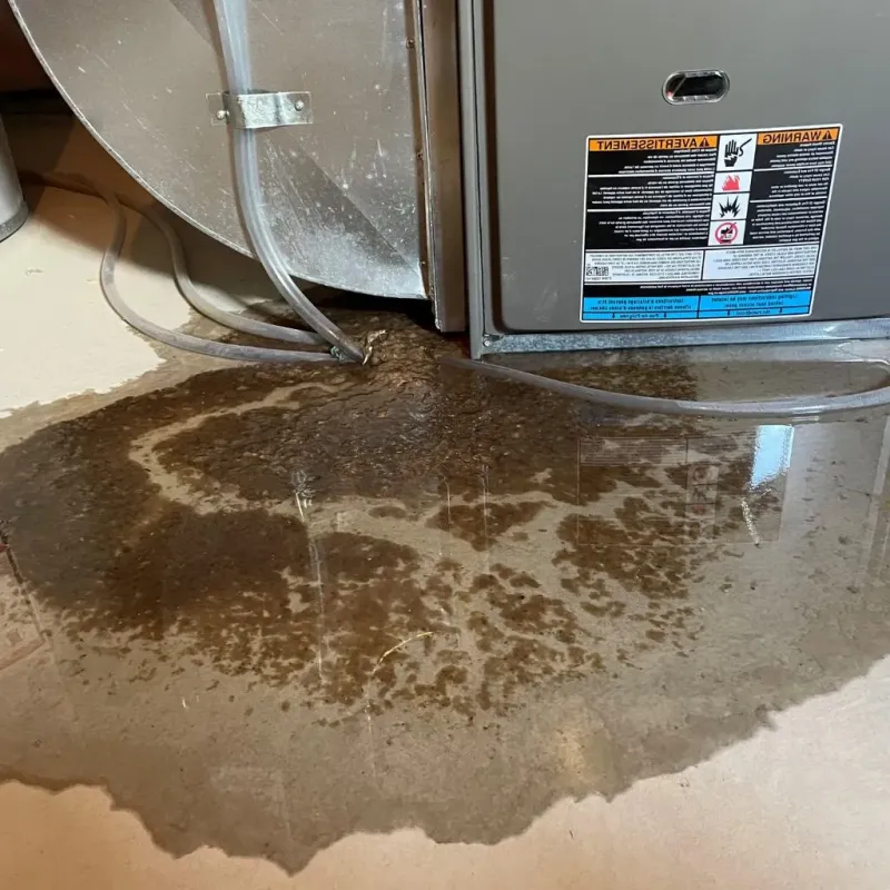 Pipe Burst and Leak Restoration in Guilford Siding, PA