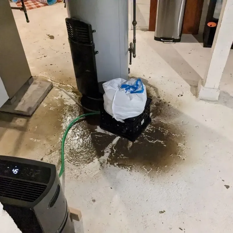 Sewage Backup Cleanup Service in Guilford Siding, PA